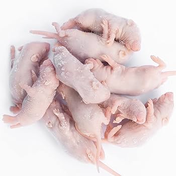 Amazon | GokiBank 冷凍マウス 10匹 (ピンクマウス S) | GokiBank